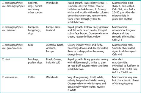 The dermatophytes | Veterian Key