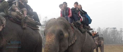 Wildlife safari Tours of Nepal