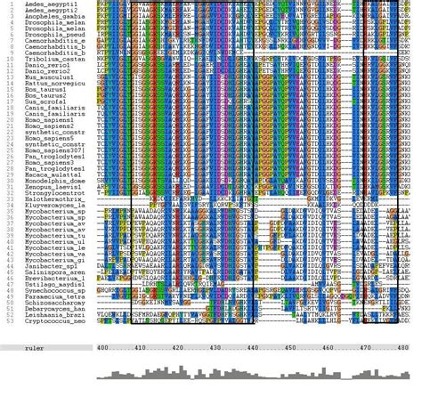 Multiple Sequence Alignment - MDWiki