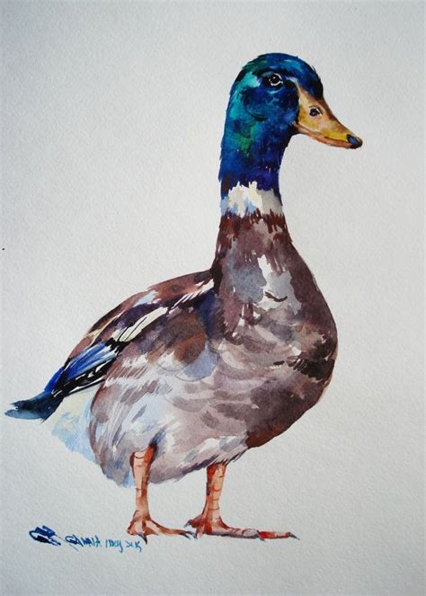 a watercolor painting of a duck standing on the ground