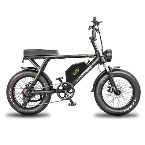 20 Inch Fat Tire Electric Bike 1000W 20AH Battery