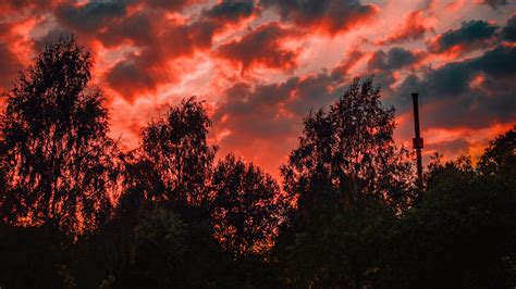 Wallpaper ID: 16190 / trees, sunset, sky, clouds, autumn, evening, 4k ...