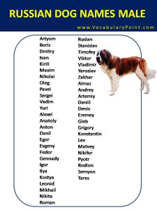 Most Popular Russian Dog Names - Vocabulary Point