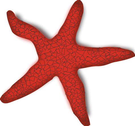 Free Starfish Clipart Transparent Background, Download Free Starfish Clipart Transparent ...