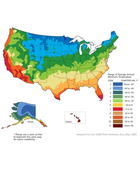 Planning Your Vegetable Garden | Martha Stewart