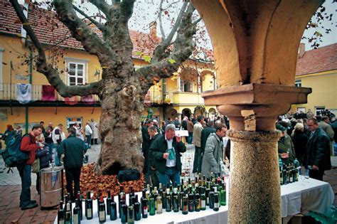 Taste the St. Catherine’s wine | Visit Bratislava | News