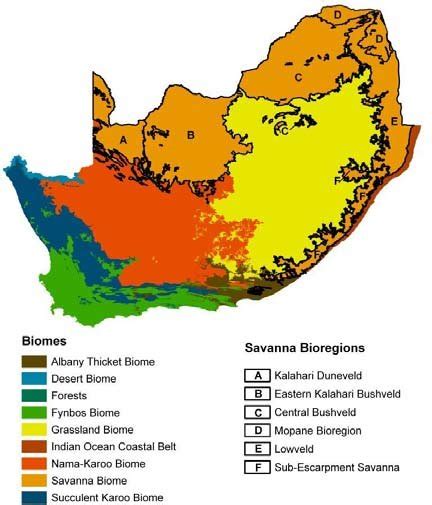 Fynbos Biome Map