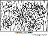 Airplane Color By Number Coloring Pages  sketch template