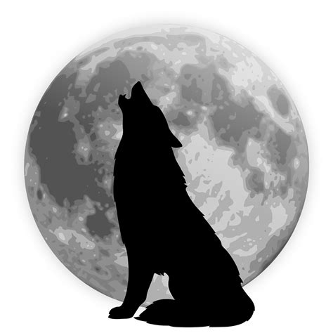 Download Moon, Wolf, Silhouette. Royalty-Free Stock Illustration Image ...