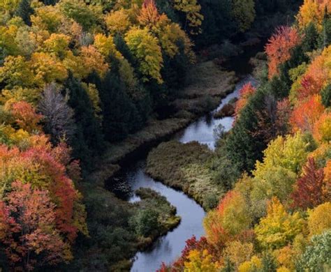 15 Scenic Fall Color Drives in Michigan + MAP (Northern Michigan, Upper Peninsula) - My Michigan ...