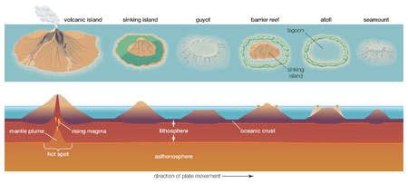 Stock Illustration - Diagram depicting the process of atoll formation Atolls are formed from the ...