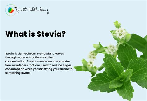 Stevia and Diabetes: Benefits, Side Effects, Uses & More