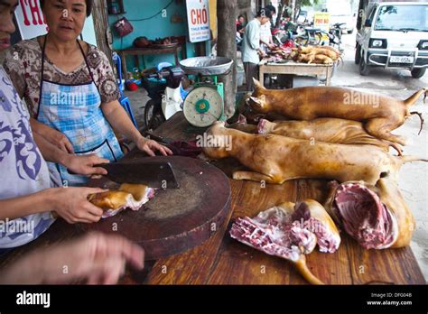 Dog meat sale. Hanoi. Vietnam Stock Photo - Alamy