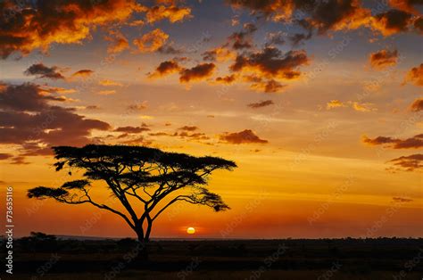 African sunset Stock Photo | Adobe Stock