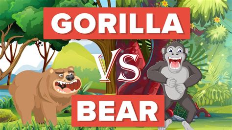 Gorilla Vs Bear Who Would Win