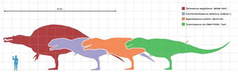 About Spinosaurus - FossilEra.com