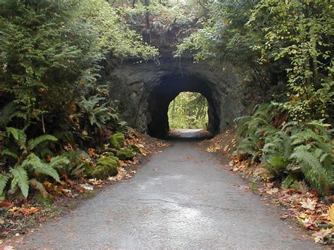 Sehome Arboretum | Western washington university, Washington hikes ...