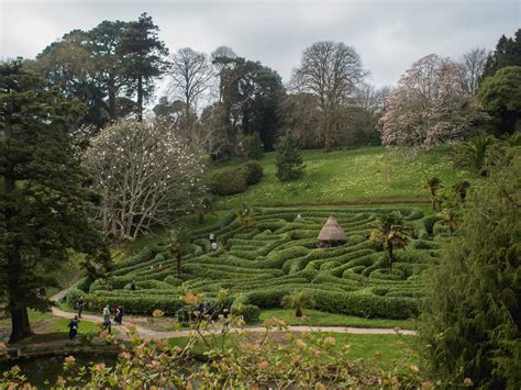 Mother's Day at Glendurgan Gardens | The Cornish Life | Cornwall Lifestyle Blog