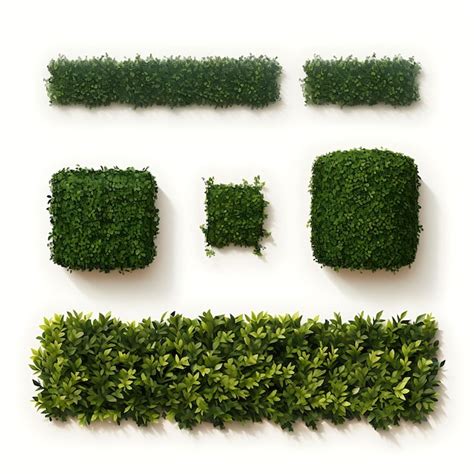 Premium AI Image | A Set of Boxwood Hedges Trimmed Into Rectangular ...