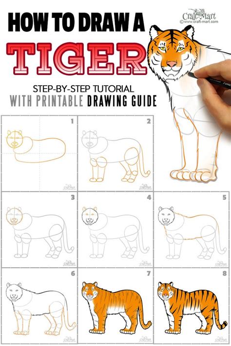 How to create a nice drawing of a tiger for beginners - Craft-Mart