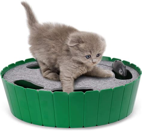 The Best Cat Toys and Accessories For Christmas 2021