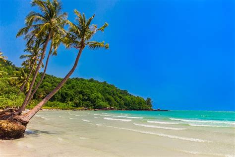 The 20 Best Beaches In Vietnam | Rough Guides