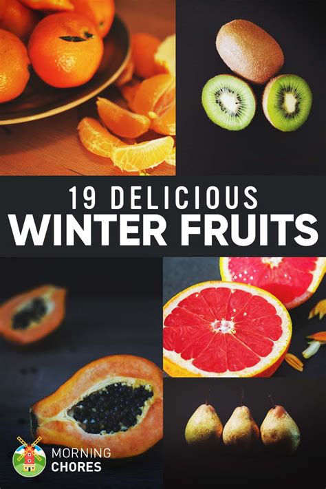 Winter Fruits List: 19 Delicious Fruits You Can Eat & Grow in Winter