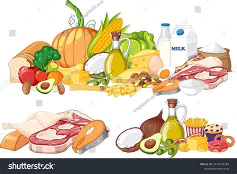 Main Food Groups Macronutrients Vector Illustration Stock Vector ...