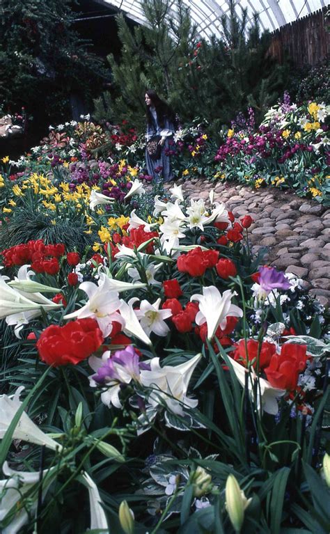 Spring Flower Show 1987 | Phipps Conservatory and Botanical Gardens ...