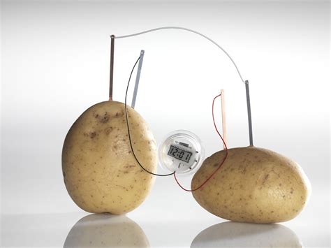 How To Make A Potato Light Bulb Science Fair Project | Shelly Lighting