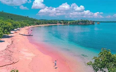 Pantai Pink Lombok: Tempat Liburan Yang Asik & Fantastis | Emhapedia.net