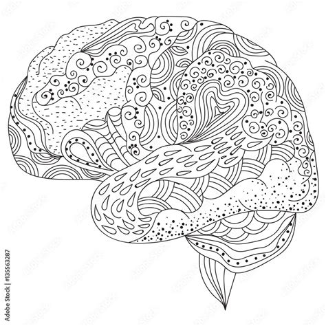 Human brain doodle decorative curves, creative mind, learning and ...