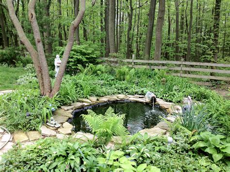 Goldfish pond | Ponds And Streams | Pinterest