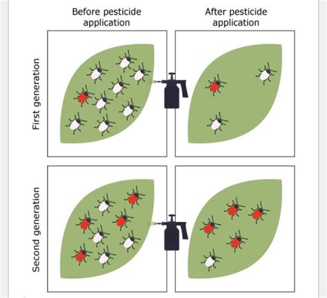 Biologic resistance to pesticides occurs when the insects’ DNA ...