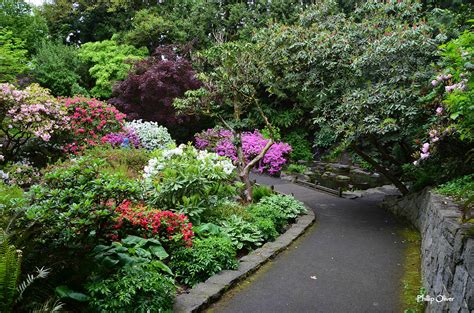 Crystal Springs Rhododendron Garden (Portland, Oregon)