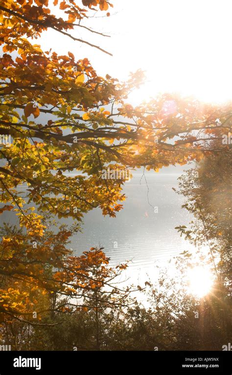 Fall colors and lake Stock Photo - Alamy