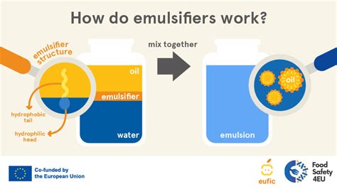 Emulsifiers At Work (Infographic), 54% OFF | www.elevate.in