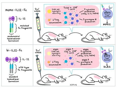 It’s a cytokine! It’s an antibody! It’s a new cancer immunotherapy!