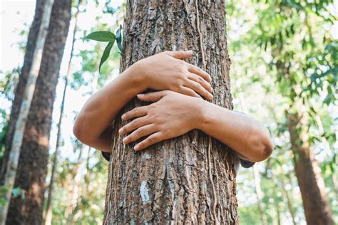 The Origins of Tree Hugging — An Darach Forest Therapy