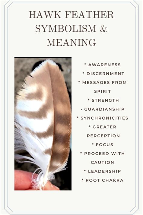 Hawk Feather - Symbolism & Meaning | Hawk feathers, Feather symbolism ...