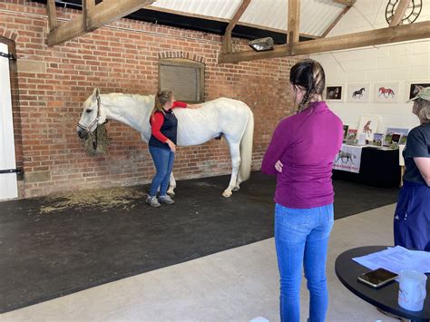 Developing Palpation for Equine Therapists - with Gillian Higgins ...