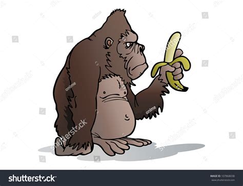 Illustration Of An Intimidating Cartoon Silver Back Gorilla Ready To Eat Banana On Isolated ...