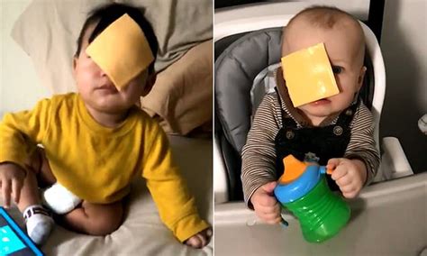 People are throwing cheese at their babies in a bizarre new internet ...