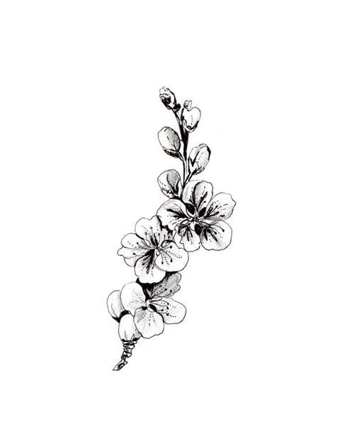 Pin by Maria jose on tattoo style inspo | Flower tattoo drawings, Blossom tattoo, Cherry blossom ...