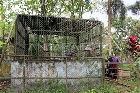 Kebun binatang Medan Zoo terbengkalai | ANTARA Foto