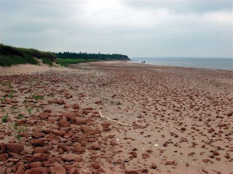 Prince Edward Island National Park | Coastal Trails, Wildlife, Beaches ...