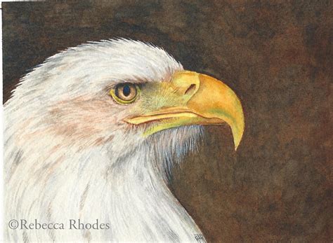 Read the Blog! | Rebecca Rhodes, Watercolor Artist | Page 2