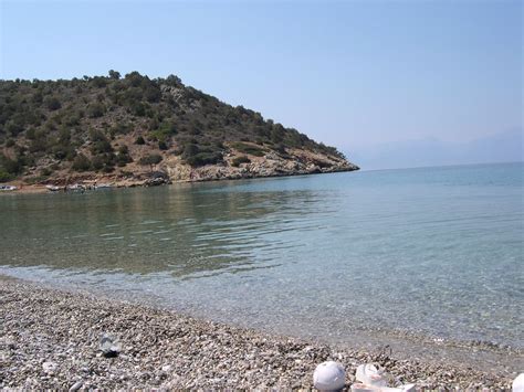 Agios Vasilis Beach, Galaxidi, Greece Photo from Anemokambi in Fokida | Greece.com