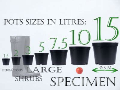 Pot Sizes - Burncoose Nurseries