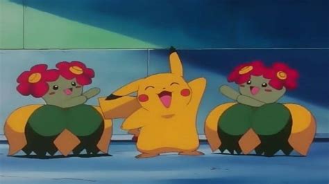 Pokémon Season 3 Episode 6 – Watch Pokemon Episodes Online ...